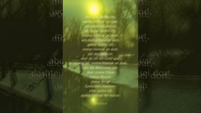 LYRIK - Raymond Hummy Art - Trio Sonata Georg Philipp Telemann смотреть онлайн