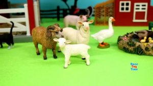 RaceToyTime-Fun Farm Animal Figurines in a Barn Playset