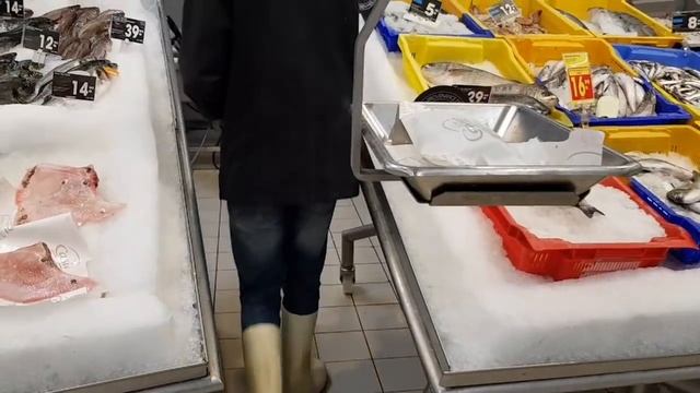 ТРИ ДНЯ ИЗ МОЕЙ ЖИЗНИ/СПЛОШНОЕ ОБЖОРСТВО или ЭТО СТРЕСС?/Прованс-Аллочка Vlog