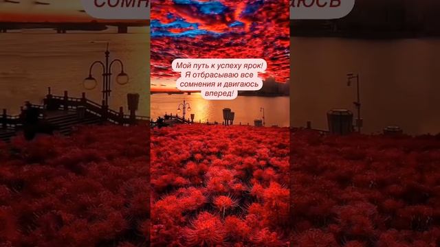 Мой путь к успеху ярок!
Я отбрасываю все сомнения и двигаюсь вперед! смотреть онлайн