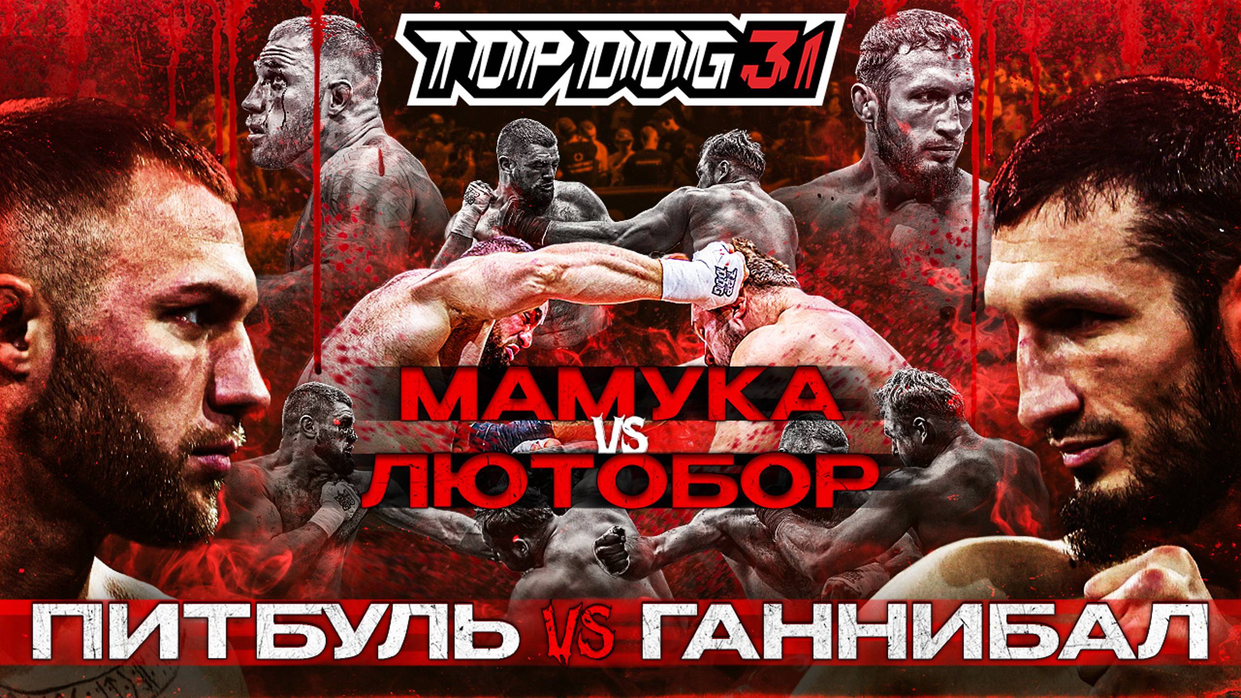 Питбуль VS Ганнибал, Мамука VS Лютобор | Чемпионский бой | TOP DOG 31, Омск