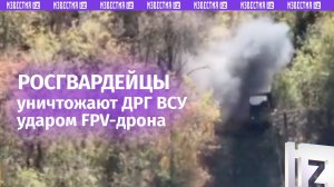 Росгвардейцы уничтожили диверсионно-разведывательную группу ВСУ в Курском приграничье / Известия