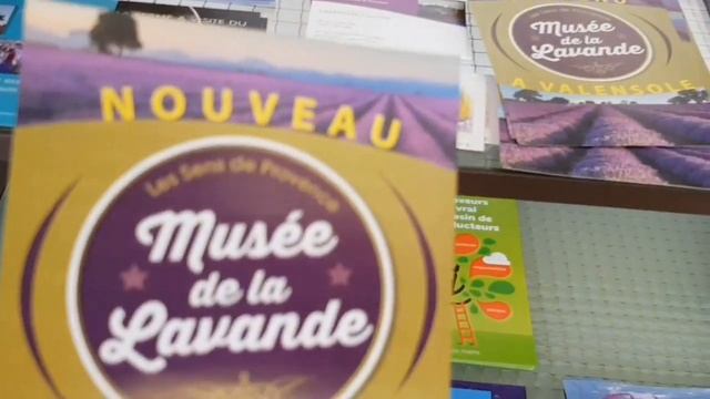 ЛАВАНДОВЫЕ ПОЛЯ/МИСТИКА/ЭТО ПРОВАНС, ДЕТКА/LAVANDER