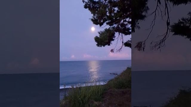 #шумморя #рассвет #дикаяприрода #безфильтра #василисаголд #море #шортс #путешествия #стихии