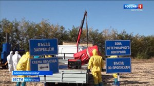 В Алексеевском округе прошли учения по отработке действий в случае возникновения гриппа птиц