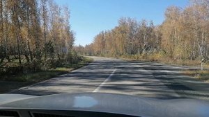 дорога до деревни Назарово