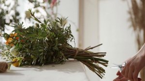 4269115-uhd_4096_2160_25fps