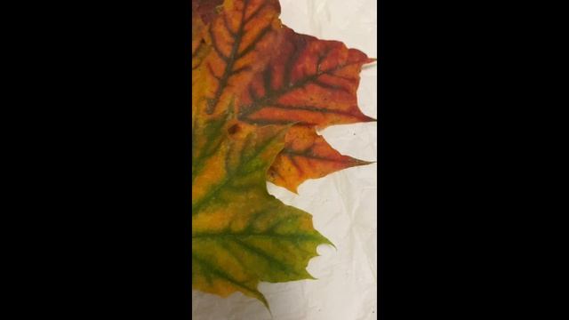 Осень в Москве смотреть онлайн