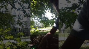 база