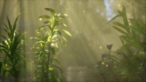 Начать ВСЁ с НАЧАЛА