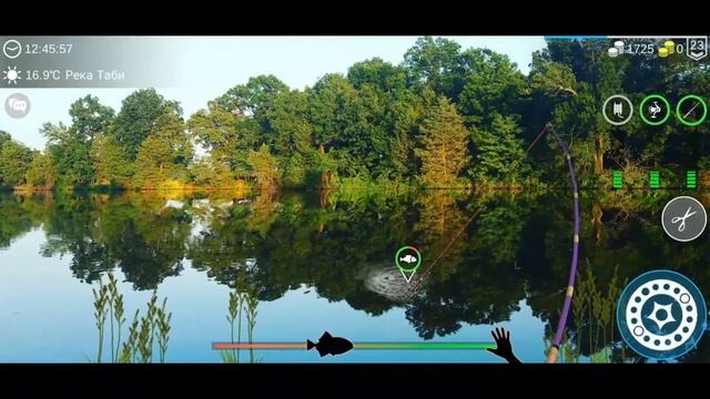 My Fishing World #22 // р.Таби-ЛОВЛЯ ЗЕРКАЛЬНОГО КАРПА.