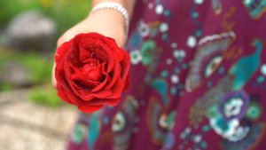 5443357-hd_1920_1080_25fps