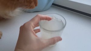 Изучаем гидрогель. Делаю пробный грунт с гидрогелем.