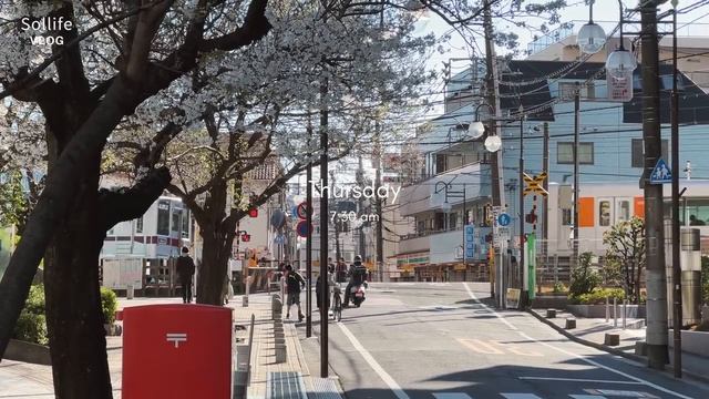 Sping in Tokyo 🌸 _ Naka-meguro cherry blossom festival, hanami, spring cafe hopping _Tokyo Vlog смотреть онлайн