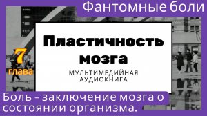 Пластичность мозга. Фантомные боли. Боль — это заключение мозга о состоянии здоровья организма.