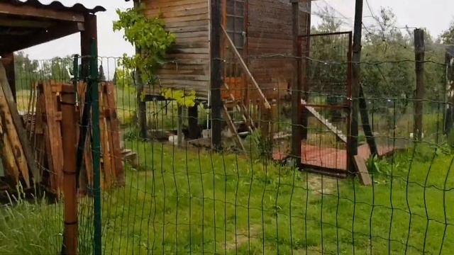 СЛЁЗЫ ПРОВАНС-АЛЛОЧКИ/ВСЁ КОТУ ПОД ХВОСТ/ГЛОБАЛЬНОЕ ПОТЕПЛЕНИЕ?
