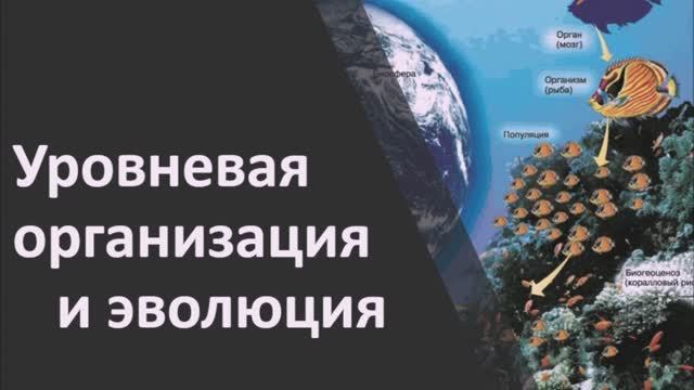 Уровневая организация и эволюция