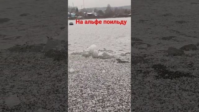 Альфа Ромео по льду.