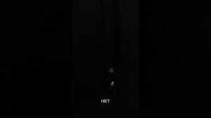 1000050578.mp4