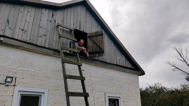 Собираем грецкие орехи и захламляем чердак | Нашли неизвестный плод.