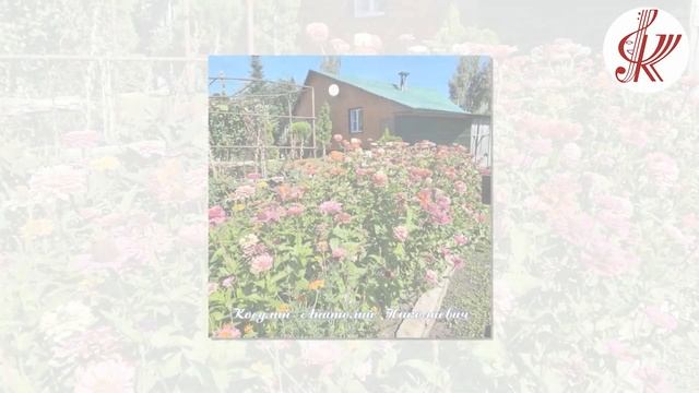 Видео – презентация «Благоустройство- 2023 год» сельское поселение Соловской сельсовет смотреть онлайн