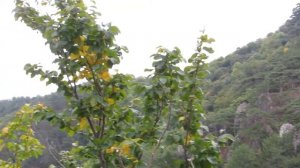 По горной тропе КросКантри на Нижнюю Джурлу... Восточный Крым... 28.10.2022.