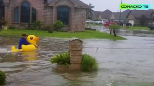 Подборка лучших приколов: смотреть смешные видео приколы 2024 | Нарезка видео #3