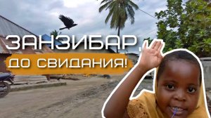Занзибар. Гигантские черепахи. Тюремный остров. Рынок в Стоун Таун. Возвращение домой | #5