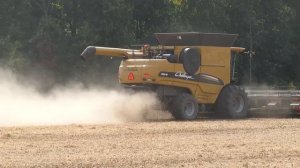 Soybean Harvest 2020 | Challenger 660B Harvesting Soybeans | Ontario, Canada