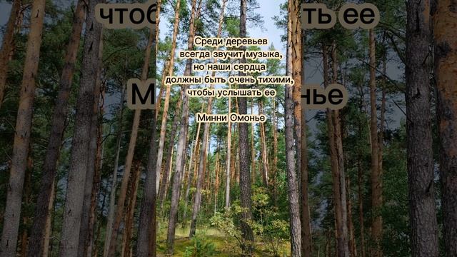 Послушай лес