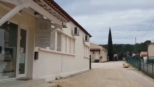 франция/Возили Мегги на прививку/Поиск солярки, поэтому опять дороги/provence_allochka vlog