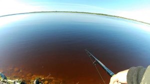 Сплав по реке,рыбалка 🎣 релакс