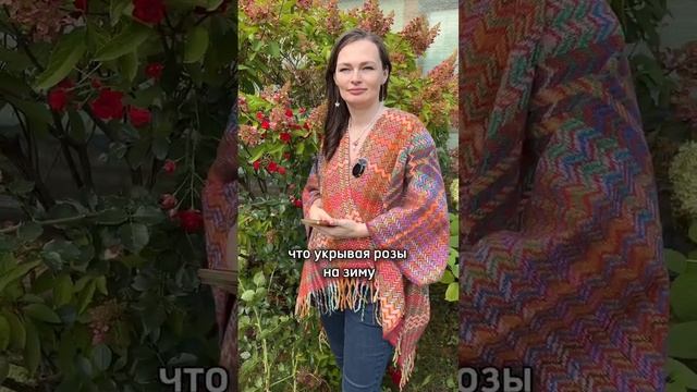 Готовь розы к зиме С ЭКСПЕРТОМ