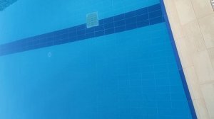 Видео бассейна 1