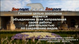 Природоохранные проекты Ленинградского зоопарка 2023