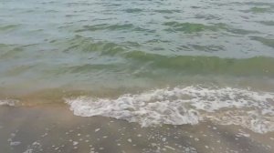 Озеро Калды // БАЗА ОТДЫХА АЗИМУТ //отдых продолжается наш ночной гость.