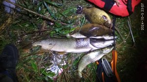 Подводная охота с Алексеем ,озеро золотое (5.1.2024)