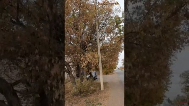 в нашей станице после выходных 😱