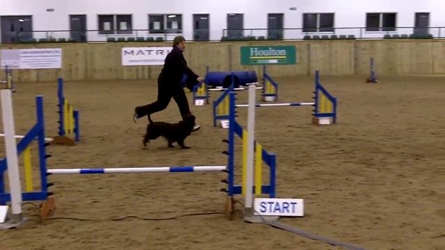 D5 Agility - Sally & Benson Steeplechase смотреть онлайн