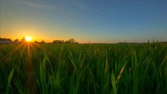 Come Be Who You Are by Sara Groves (City on a Hill) смотреть онлайн