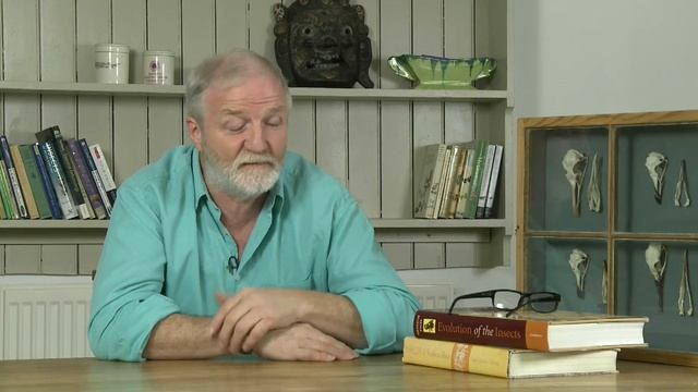 George_McGavin_mixed_part_2_pro_res_new смотреть онлайн