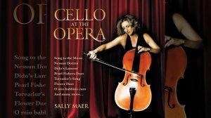 Rigoletto, Act III: La donna è mobile (Arr. for Cello and Orchestra)