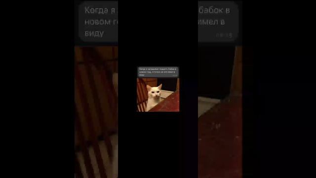 Мемы про смешариков когда они на онлайн уроках, и остальные угарные приколы. смотреть онлайн