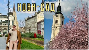 vlog: почему Нови Сад не оправдал наших ожиданий? 🤔🇷🇸