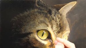 Рисуем поэтапно.