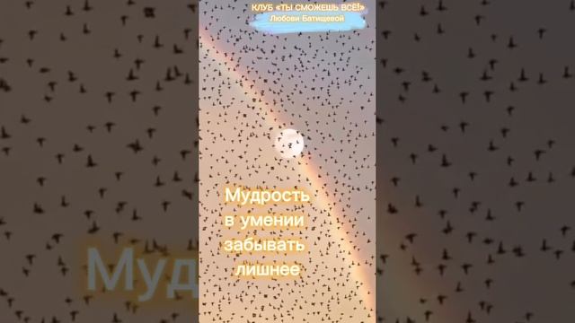 Наука забывать ненужное #психология #мышление #нейронныесвязи#позитивноемышление#житьвмоменте#память