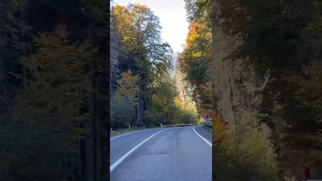 Красота Кавказа