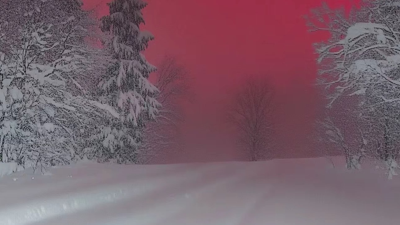 сталкер