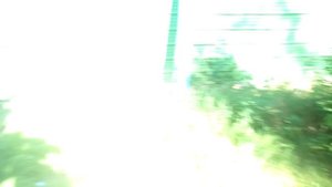 Египетская помойка под Москвой