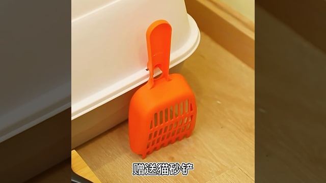Лоток